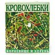 Кровохлебки корневище и корень, сырье 50 г №1